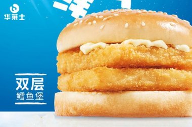 农村可以加盟华莱士吗
